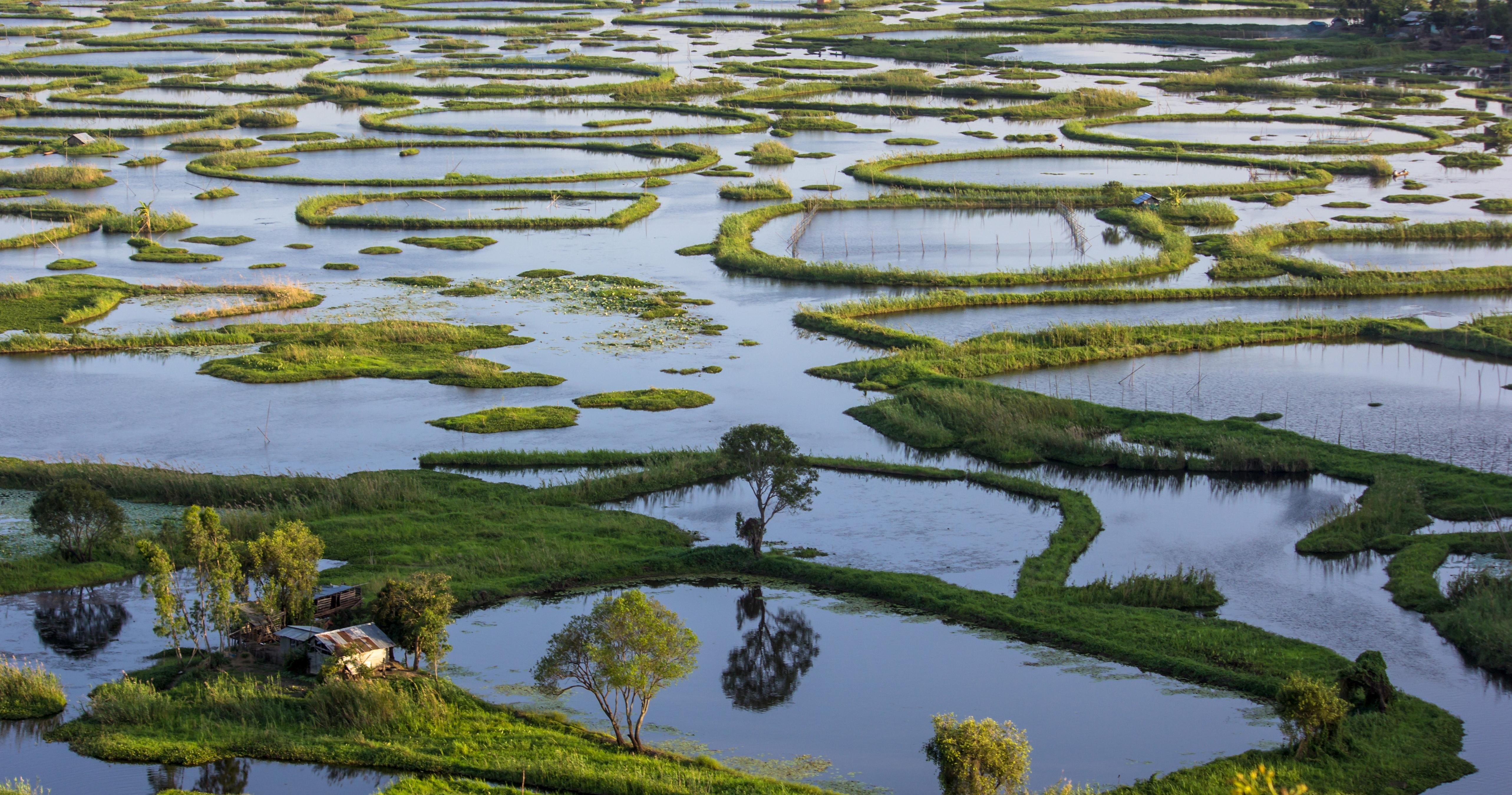 keibul-lamjao-national-park-img